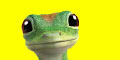 Geico